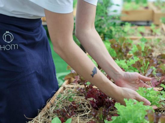 Фото Hom hostel & cooking club