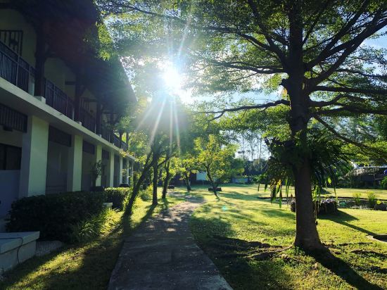 Фото Palm Galleria Resort