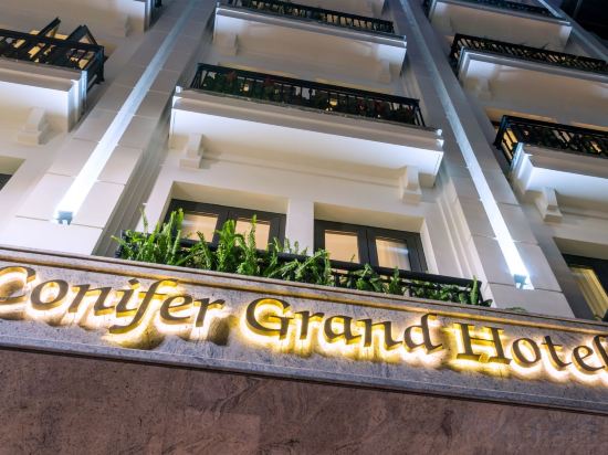 Фото Conifer Grand Hotel