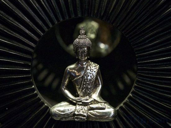 Фото 161650608881