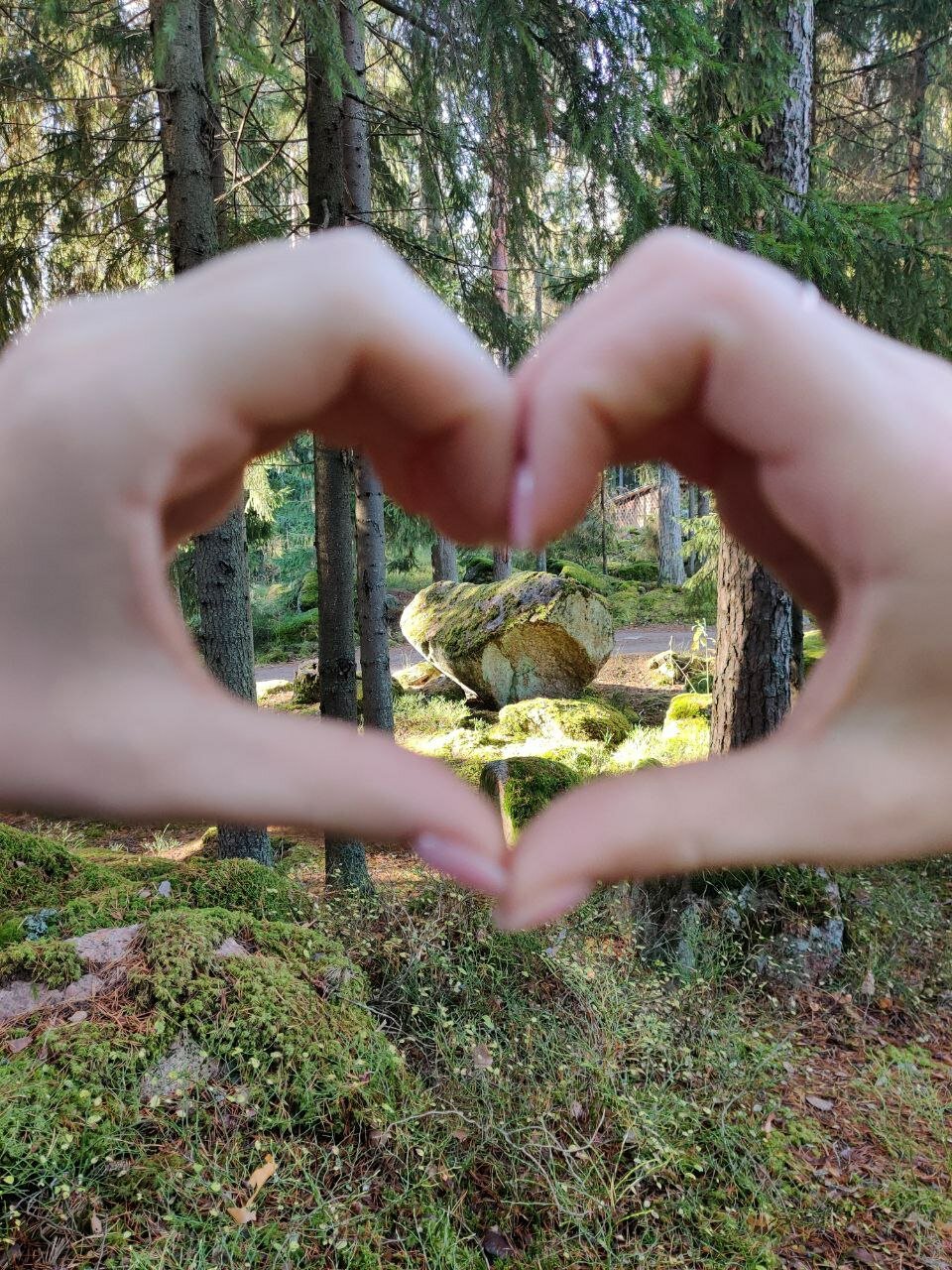 Фото Лесная сказка