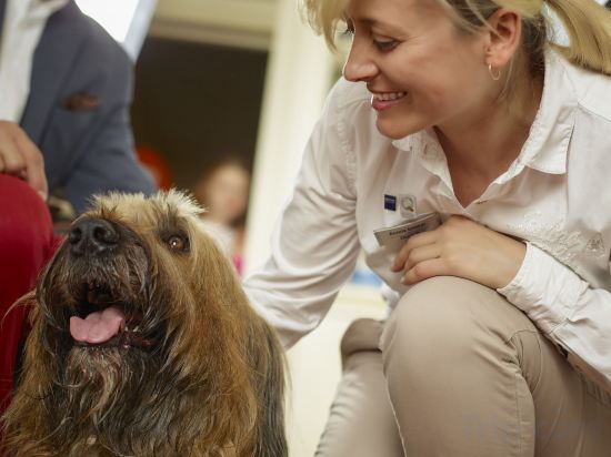 Фото 61678464417