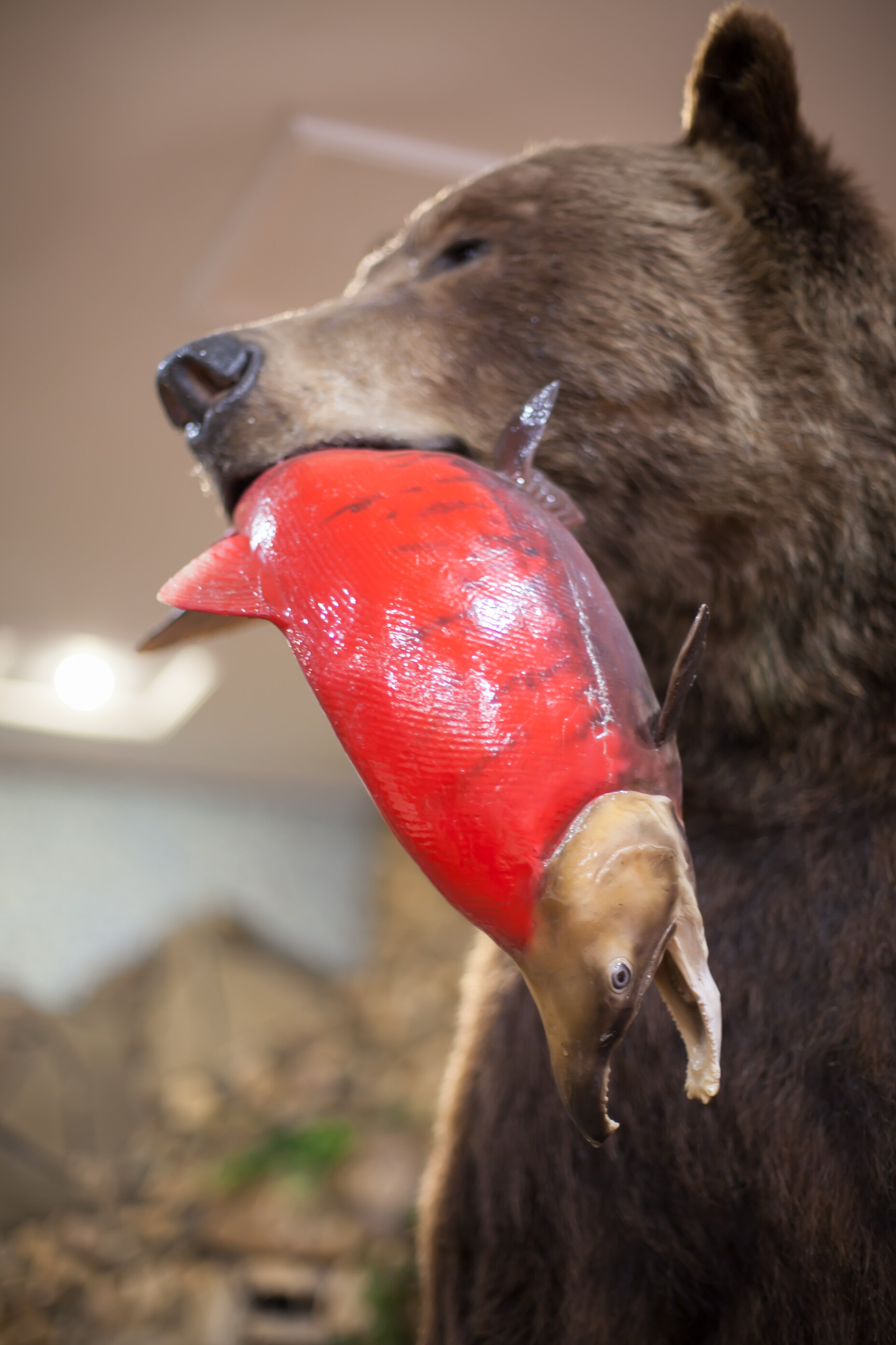 Фото Золотой ручей