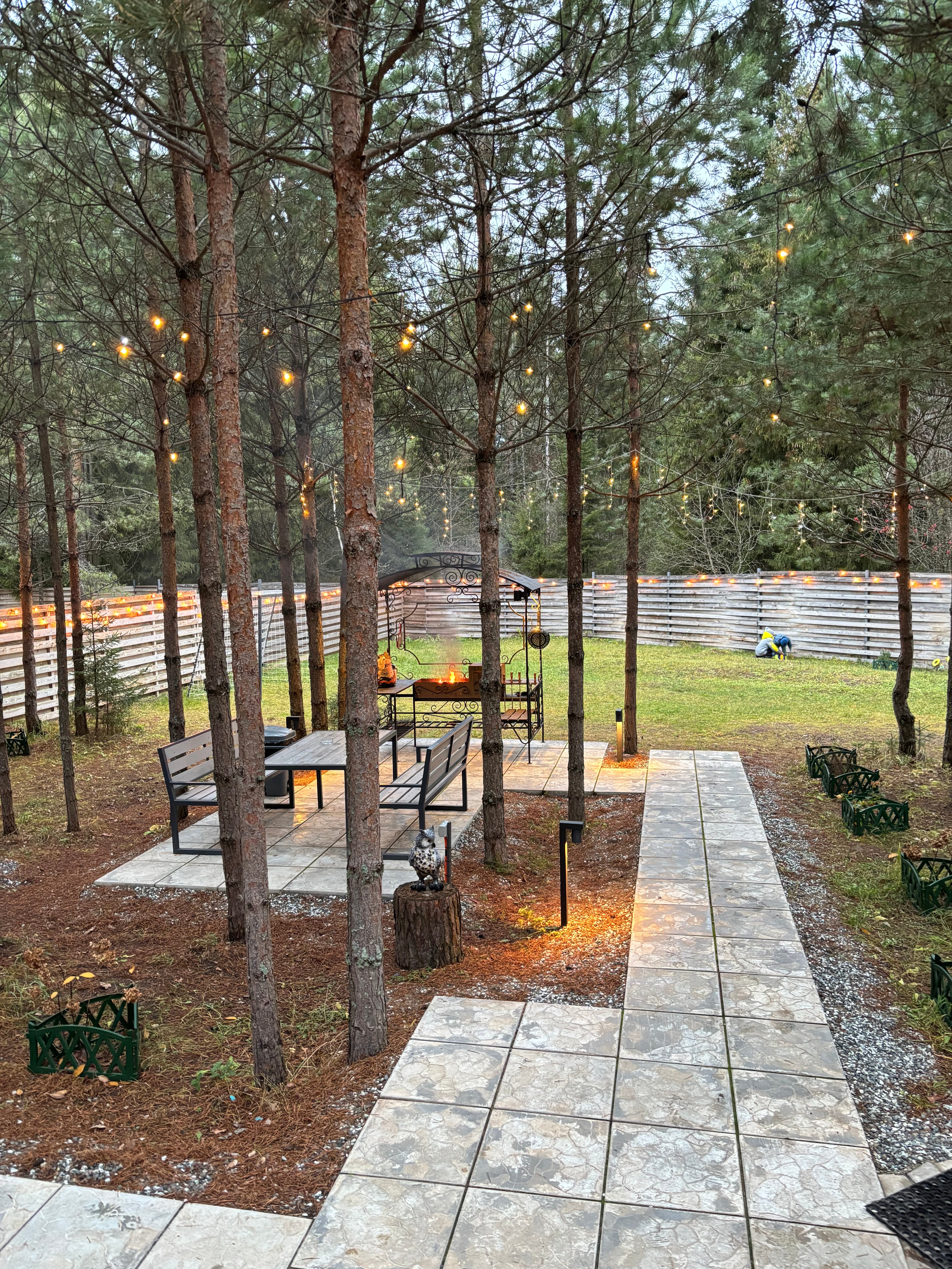 Фото Лесная поляна