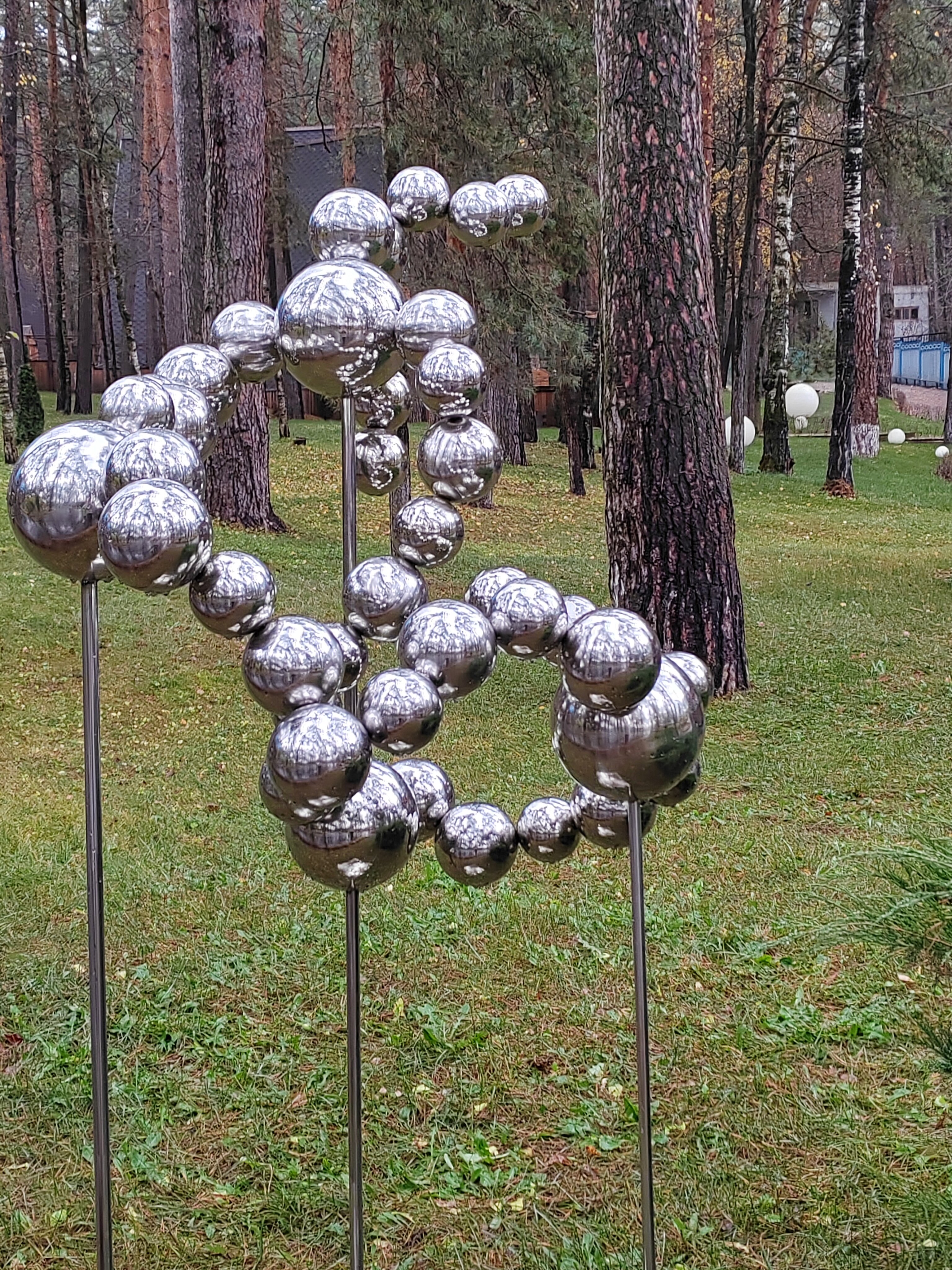 Фото Лесная опушка