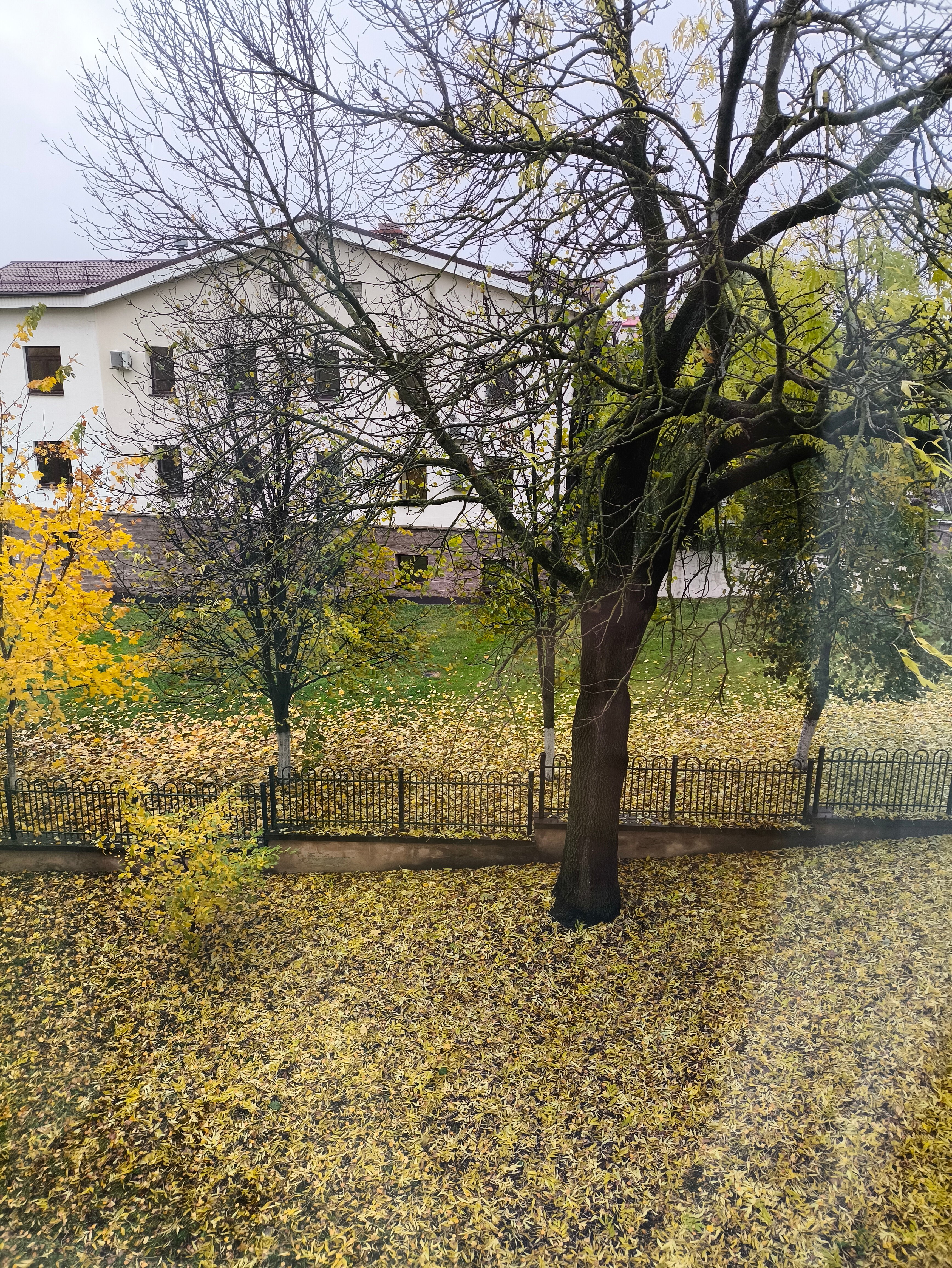 Фото Гостиница Орша