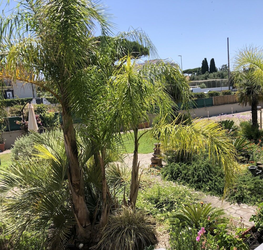 Фото Il Giardino di Adriana Bed and breakfast