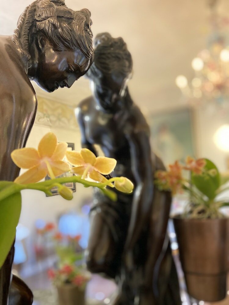 Фото Hotel Verdi Boutique Hotel