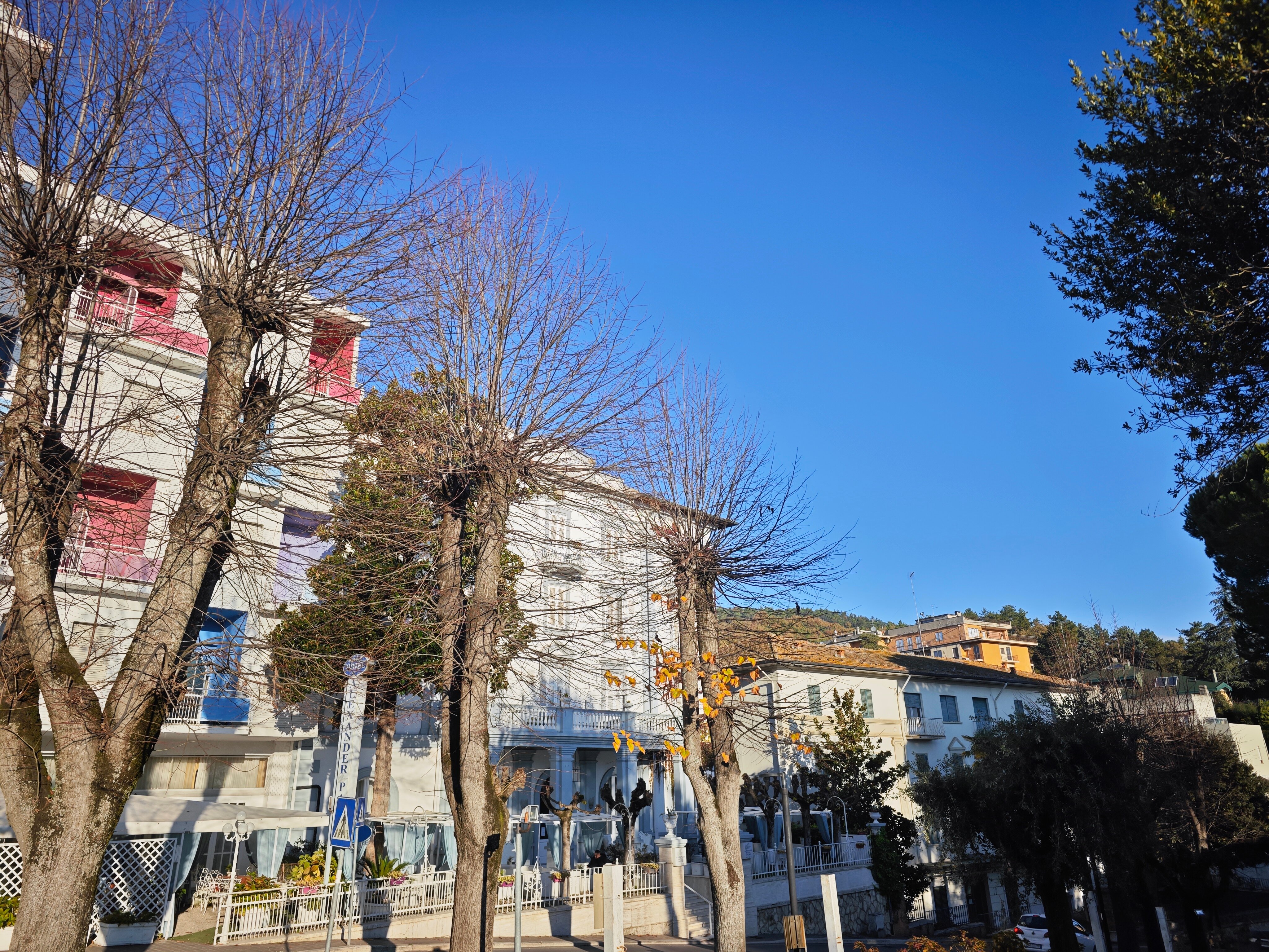 Фото Hotel Alexander Palme