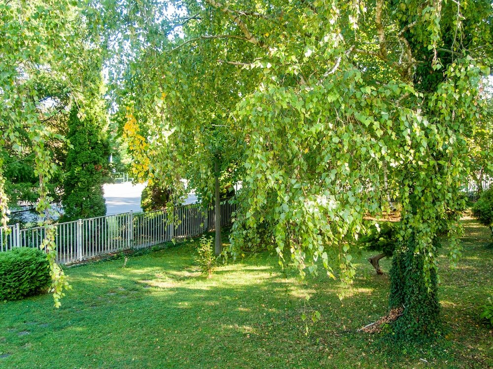 Фото Hotel Fit Heviz