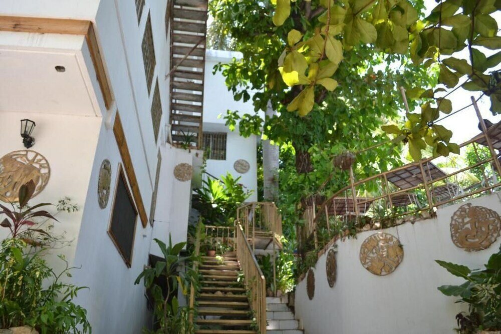 Фото Pacot Breeze