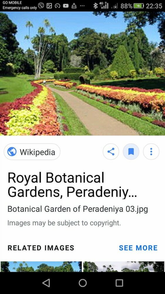 Фото Miracle Villa