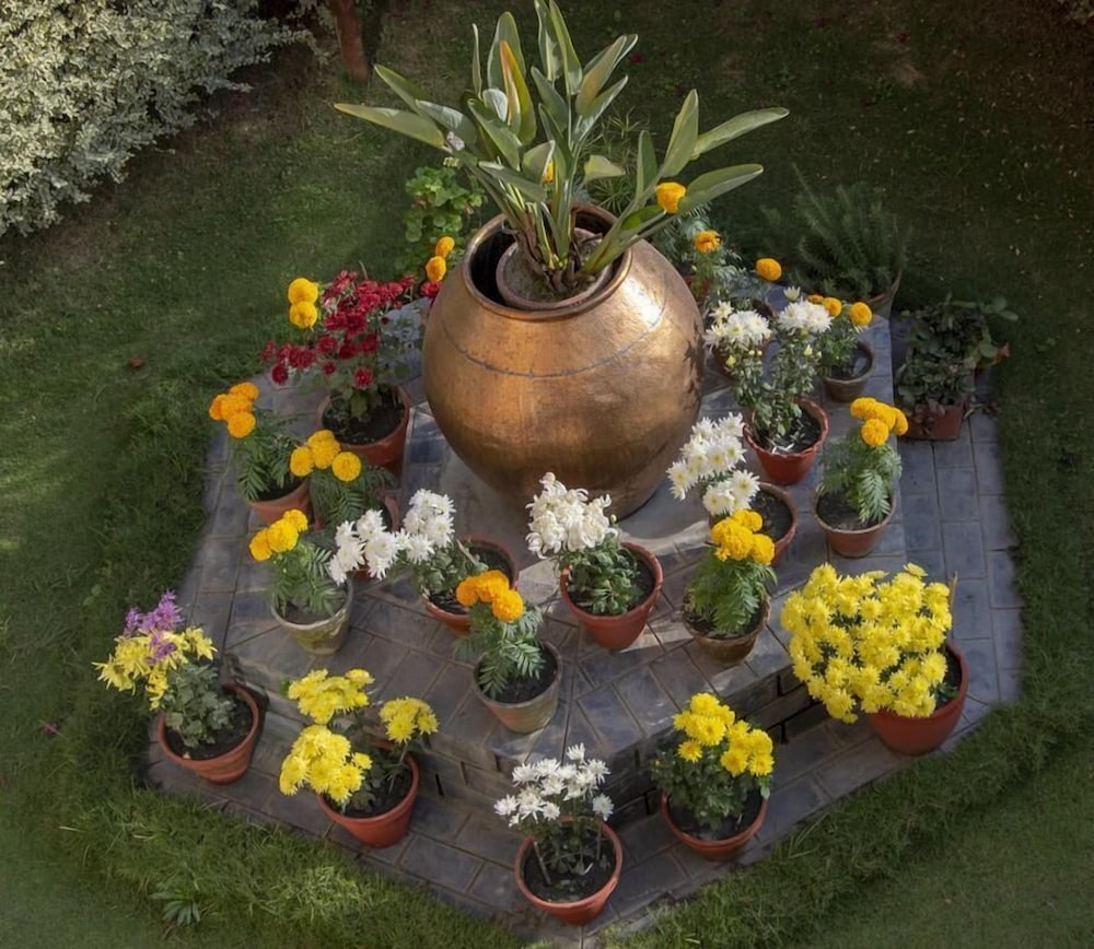 Фото Shaligram Hotel & SPA