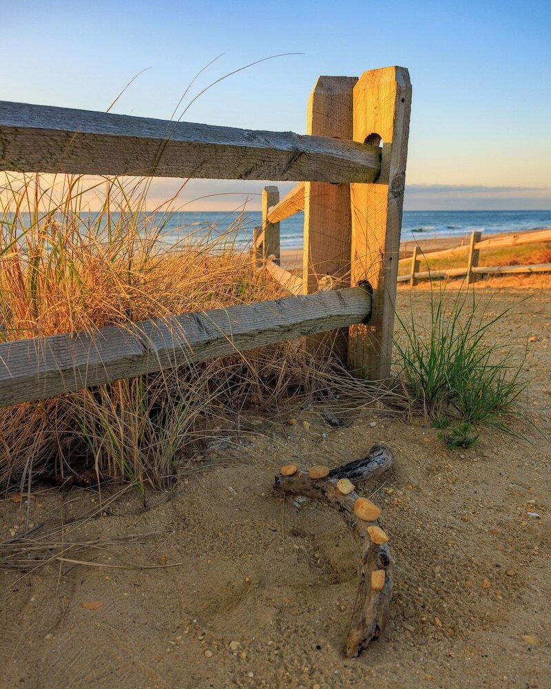 Фото The White Sands Oceanfront Resort & SPA