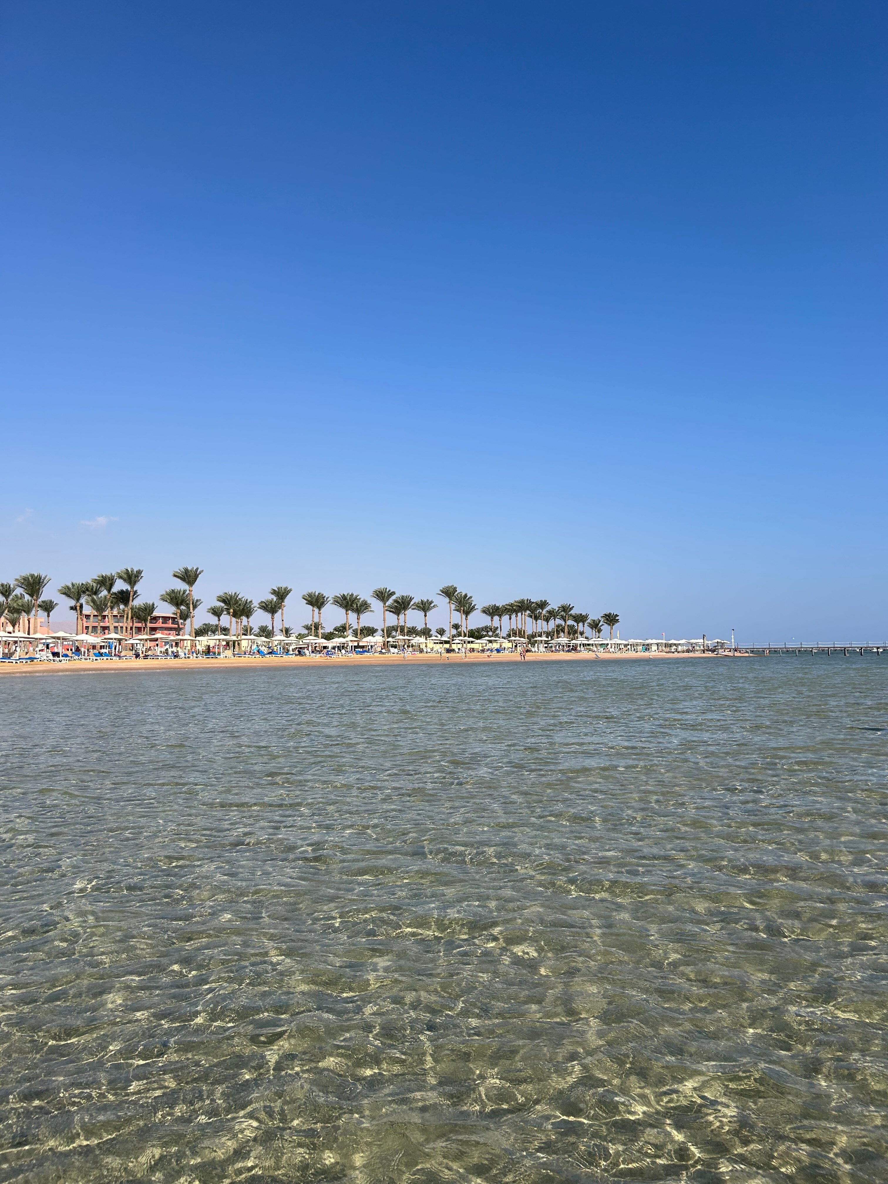 Фото Coral sea Holiday Resort & Aqua park