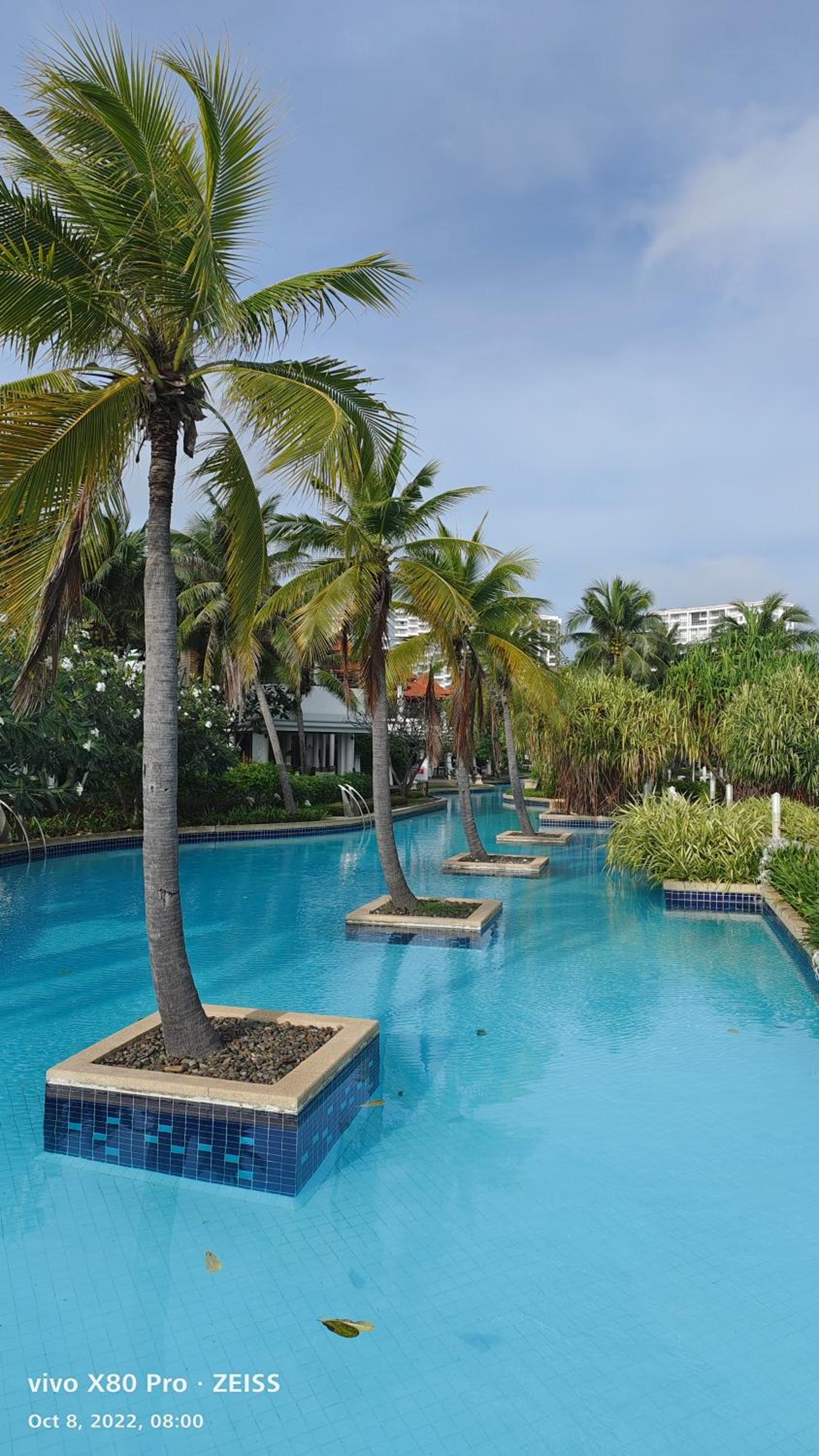 Фото 50624295898