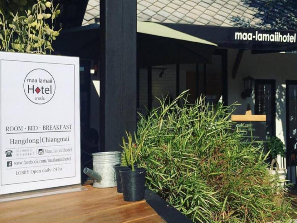 Фото Maalamaii Hotel