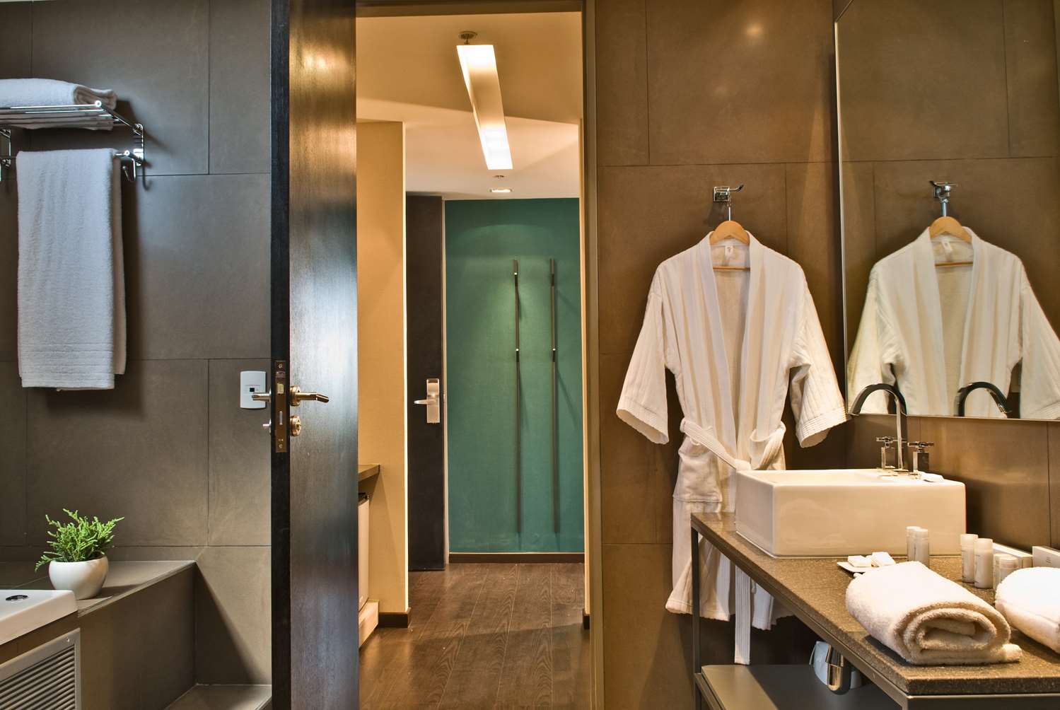 Фото Esplendor by Wyndham Mendoza