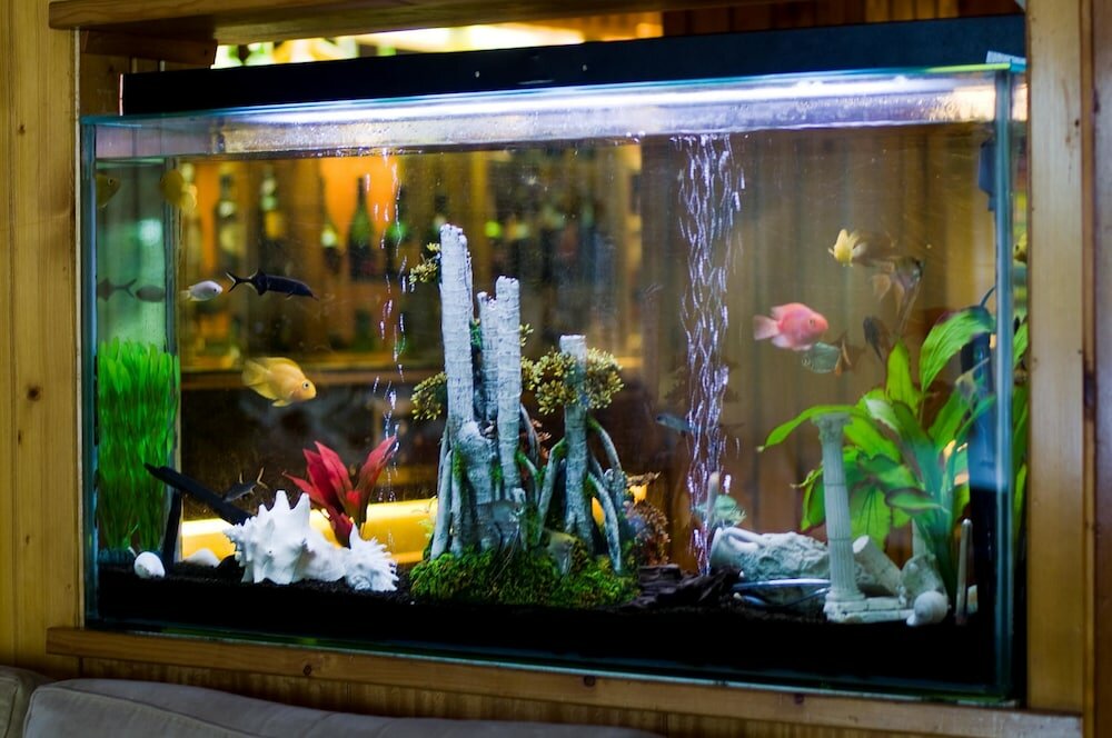 Фото Hotel Regina