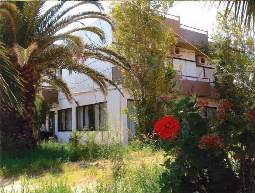 Фото Violetta Hotel