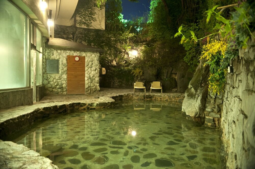 Фото Onyang Hot Spring Hotel