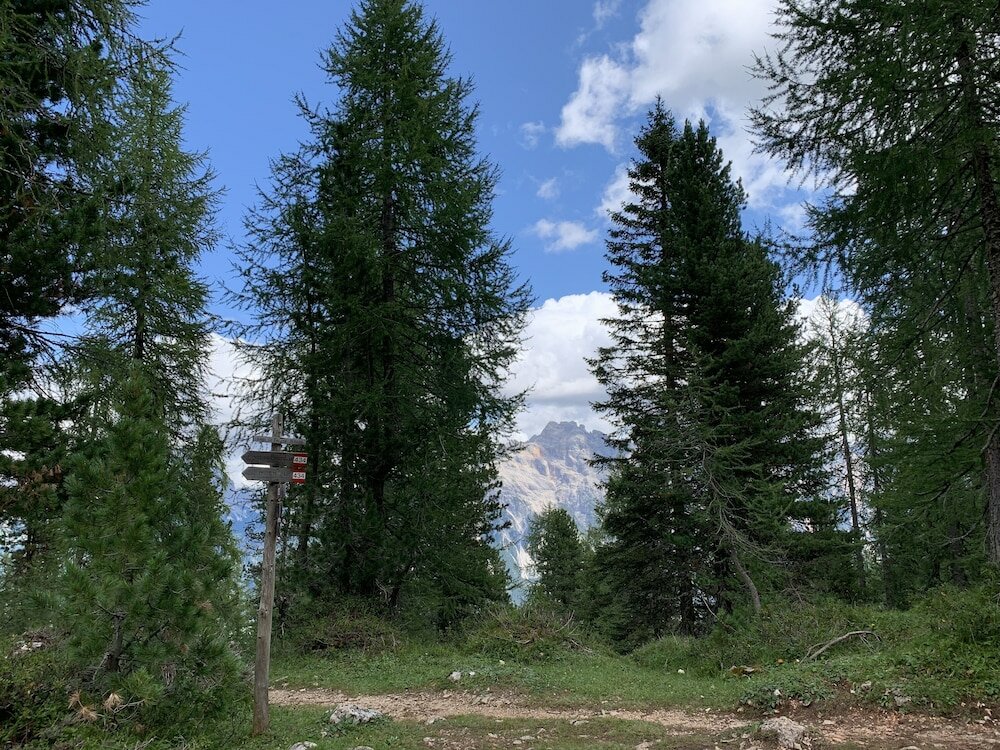 Фото Hotel Serena