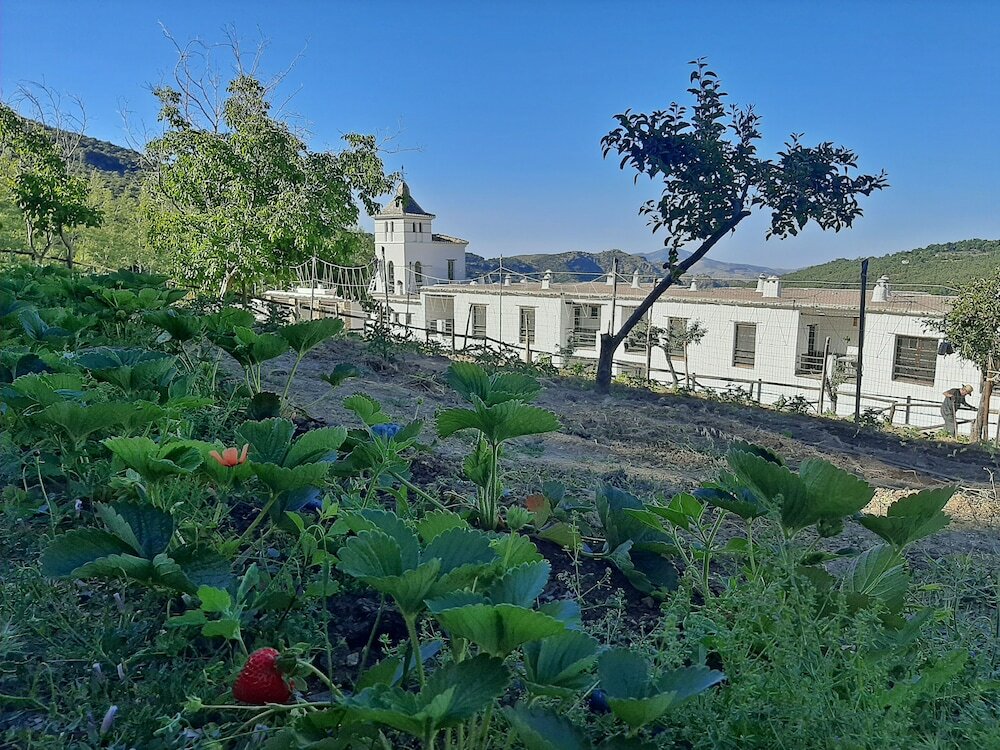 Фото Hotel Apartamento Nueva Alcazaba