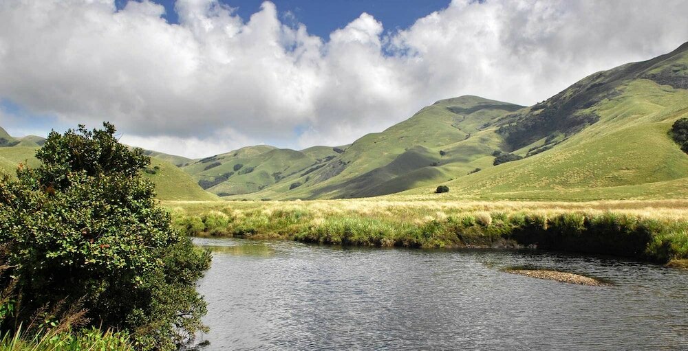 Фото Nature Zone Jungle Resort