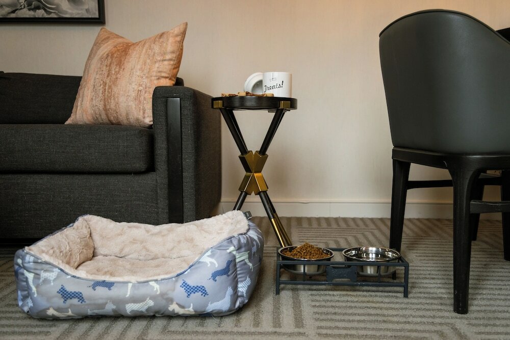 Фото The Gwen, a Luxury Collection Hotel, Michigan Avenue Chicago