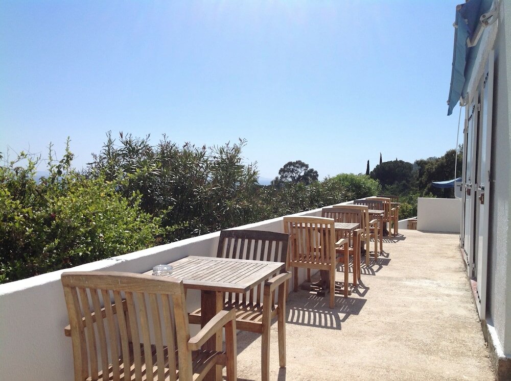 Фото 239591915500