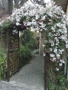 Гостиница Uzuri Guesthouse Cc