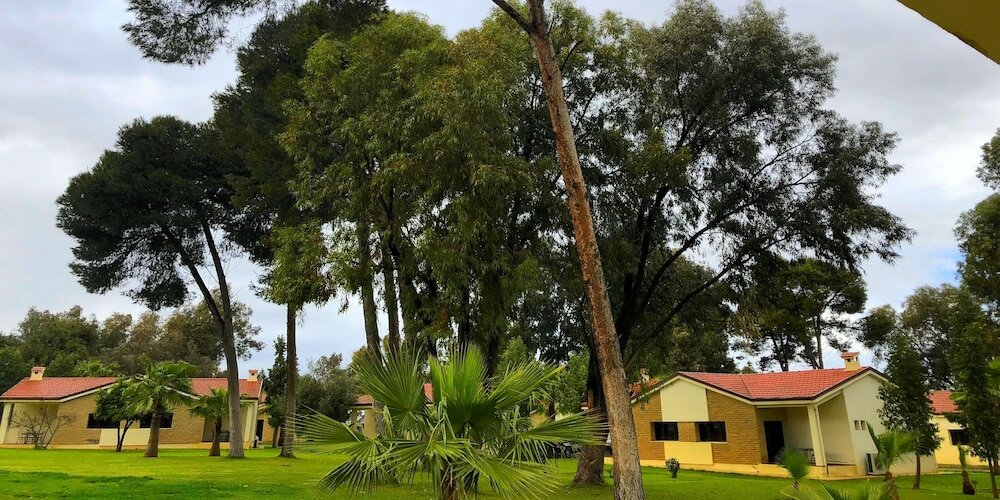 Фото Diamant Vert