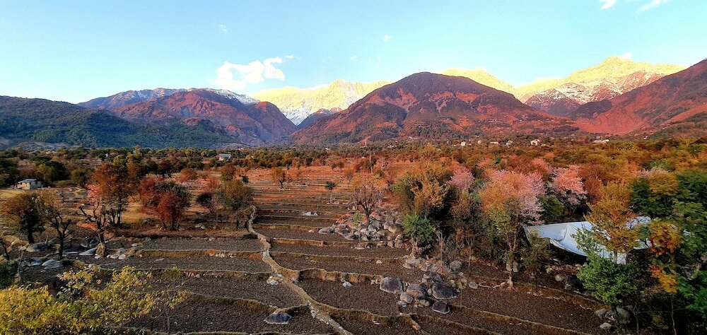 Фото Quartz Himalayan Brothers