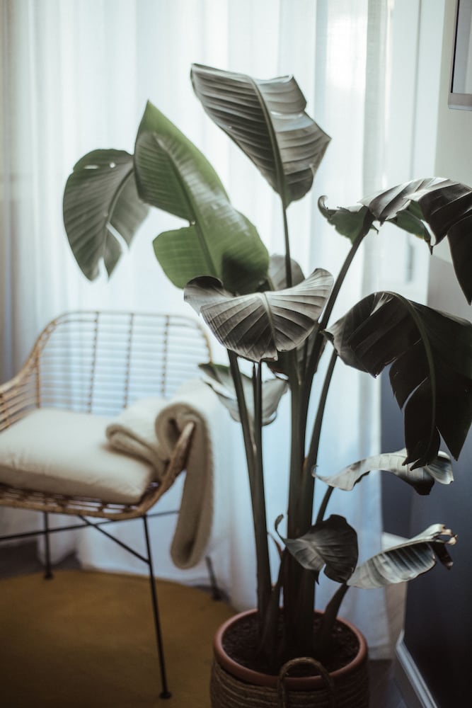 Фото Cà Bèla - Porta Romana