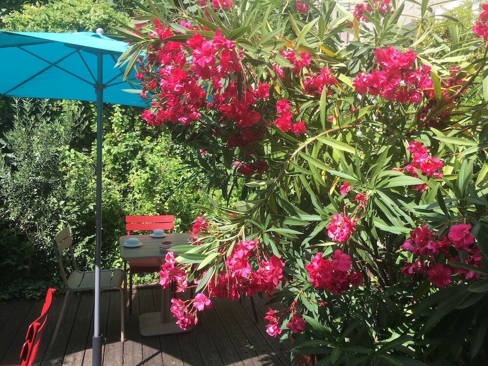 Фото Hotel Mirabeau