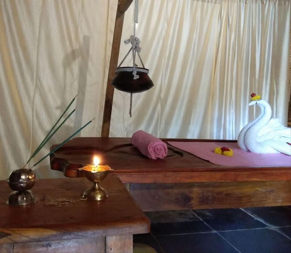 Фото Palm Trees Ayurvedic Heritage