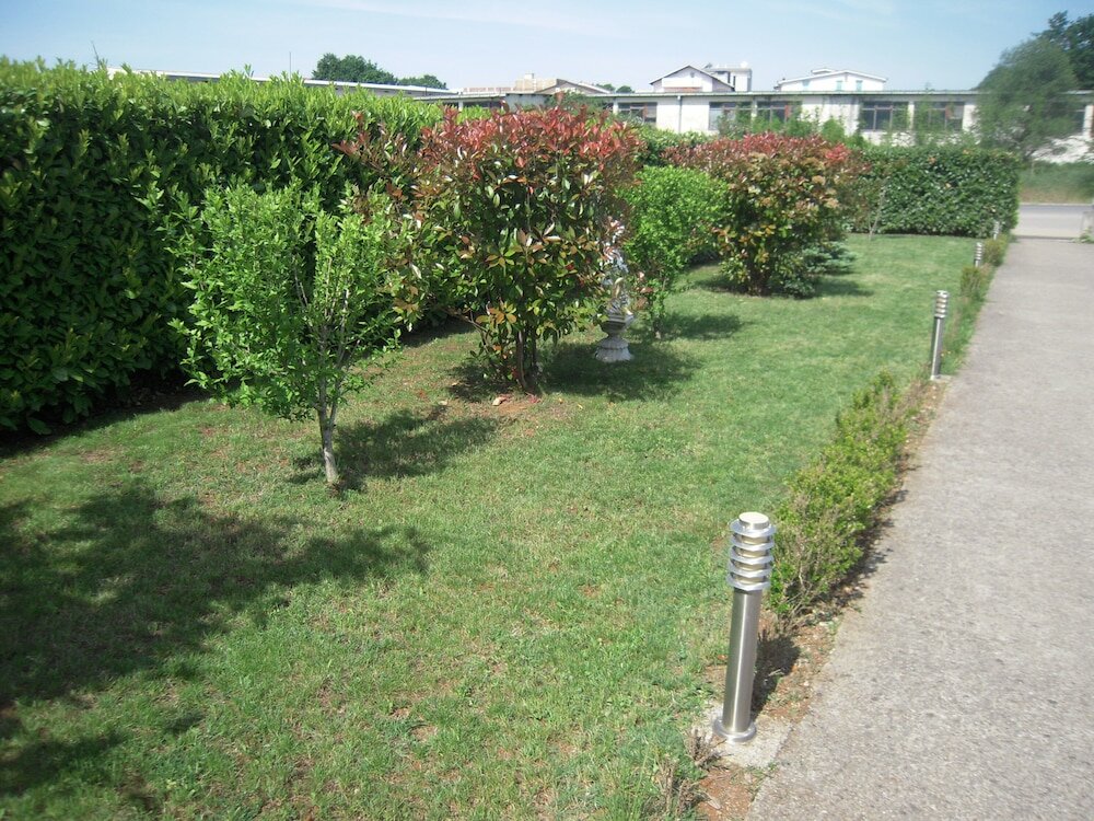 Фото Regina Mundi