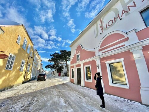 Внешний вид отеля Johan SPA Hotel в Курессааре, фото 4