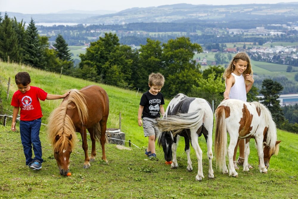 Фото Hotel Sonnenberg