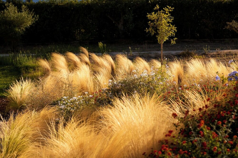 Фото White Shell Beach Villas