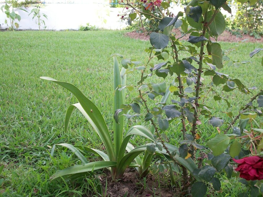 Фото Villa Panorea