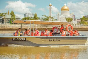 Гостиница Al-Afiah Hotel