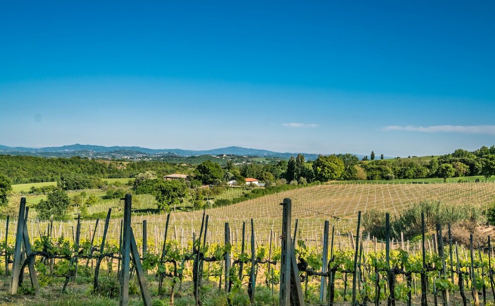 Фото Agriturismo Palazzo Bandino