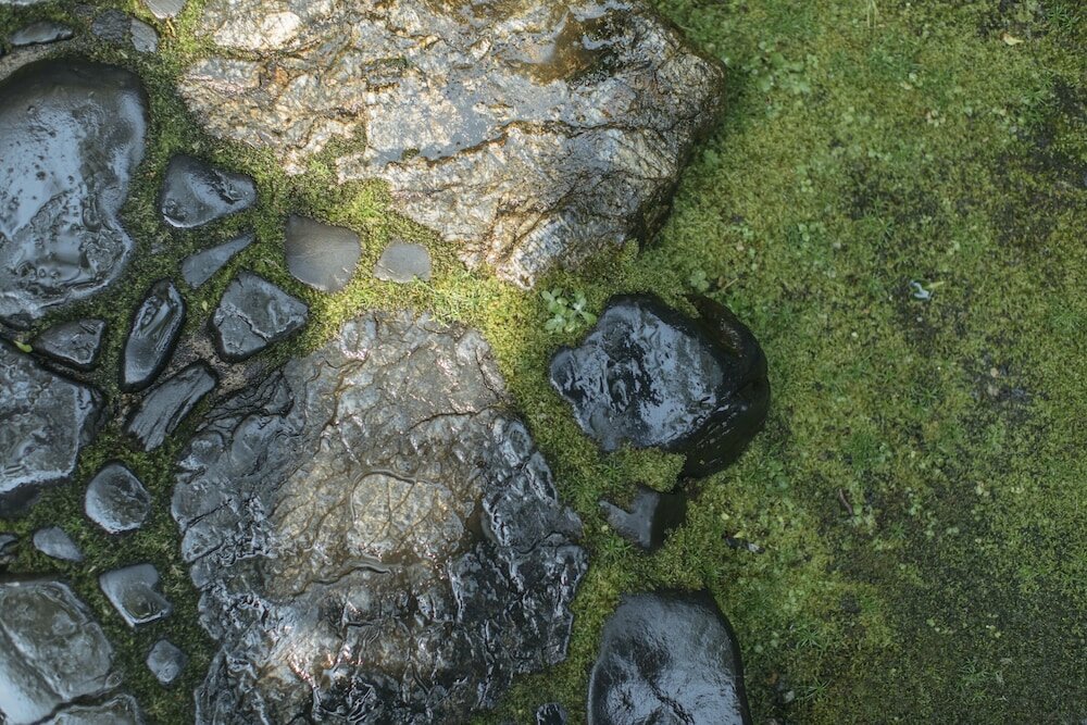 Фото Toshiharu Ryokan