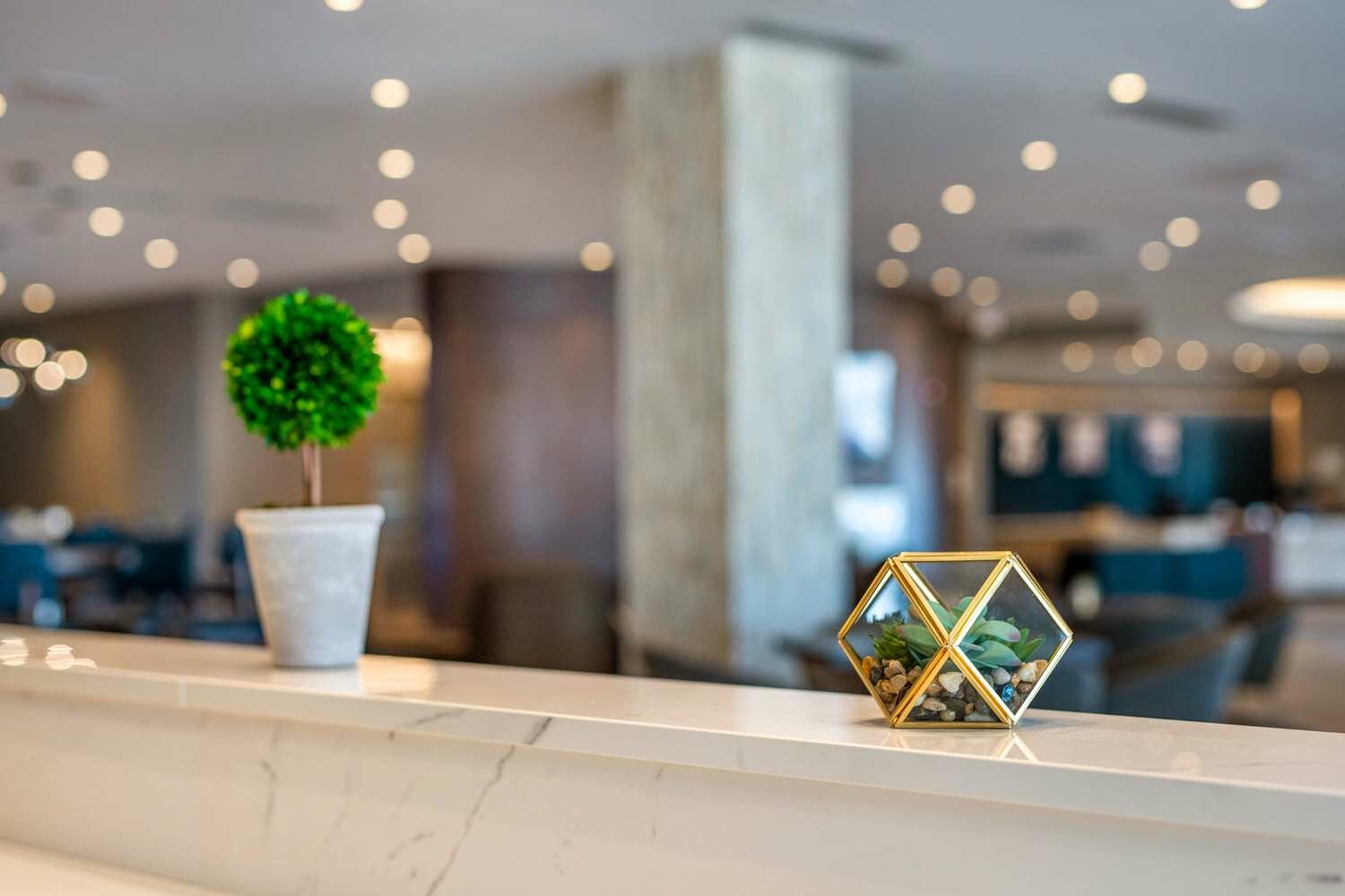 Фото Cambria Hotel Bloomington Mall of America Minneapolis Airport