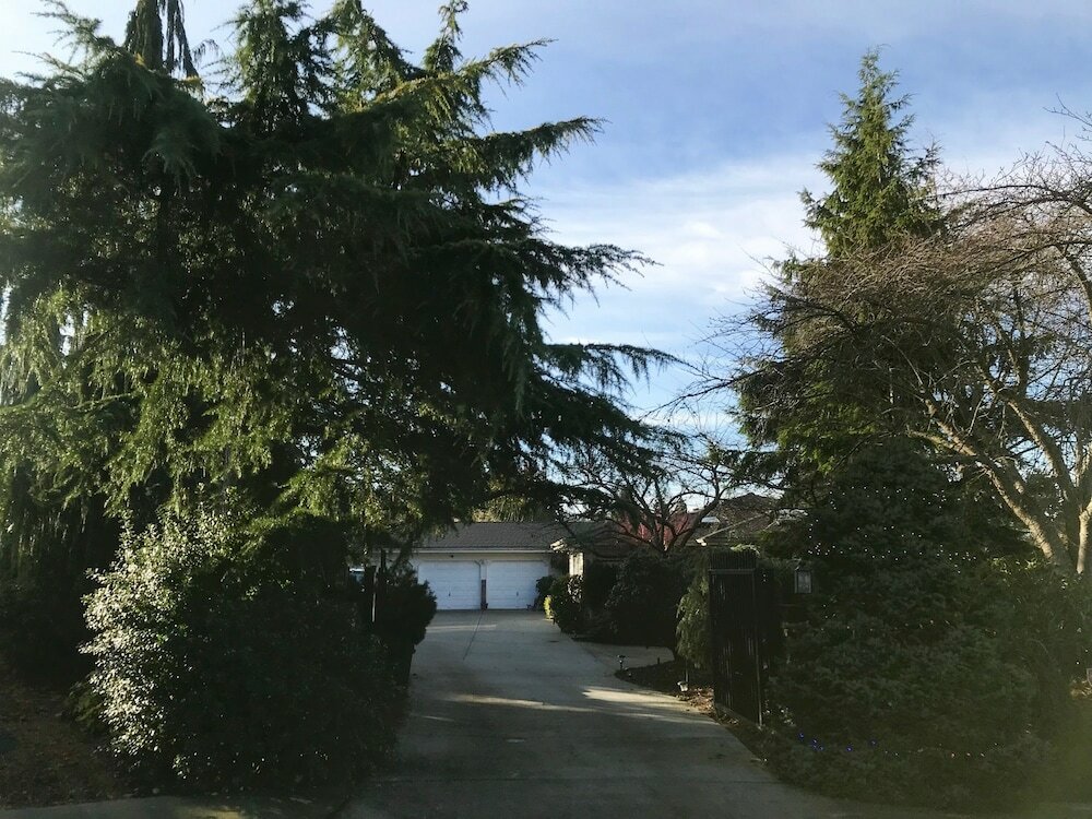 Фото Villa Rivarola