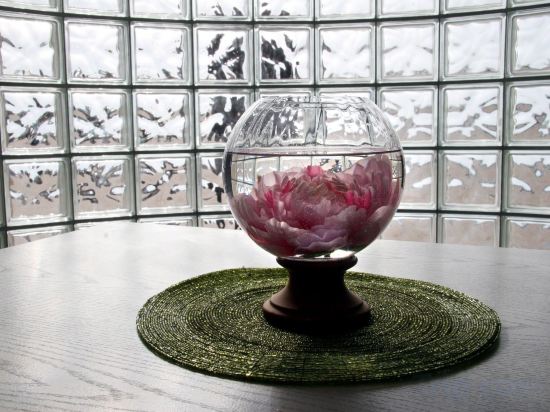 Фото Hotel Ancora