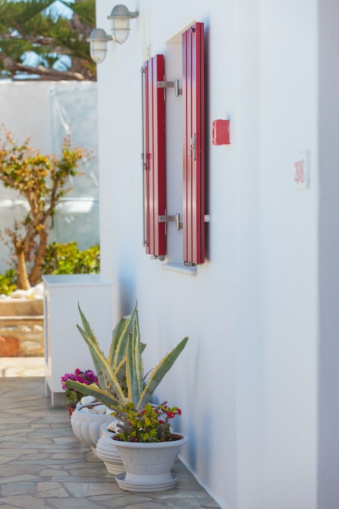 Фото Katerina Mare