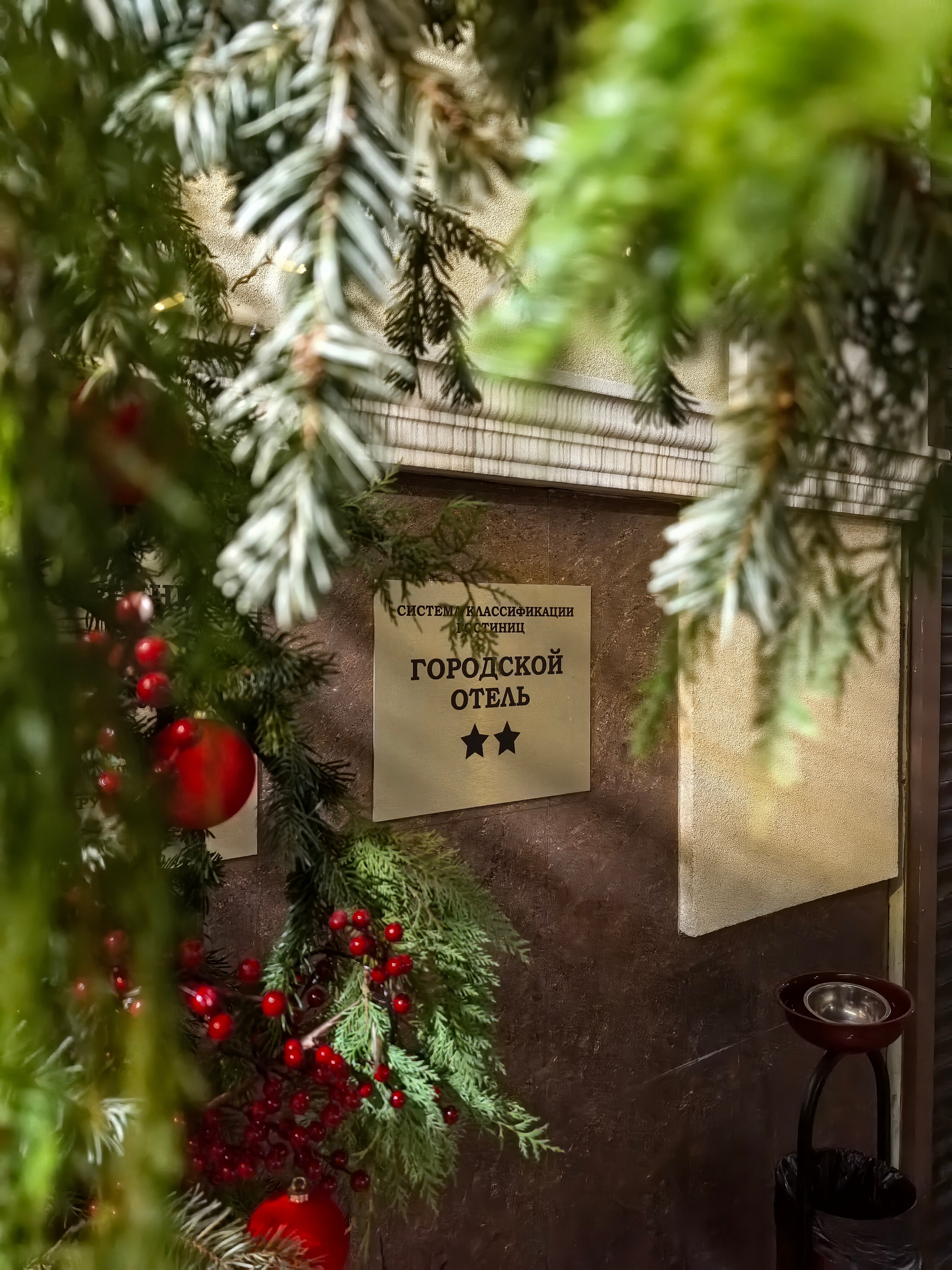 Фото Магнолия