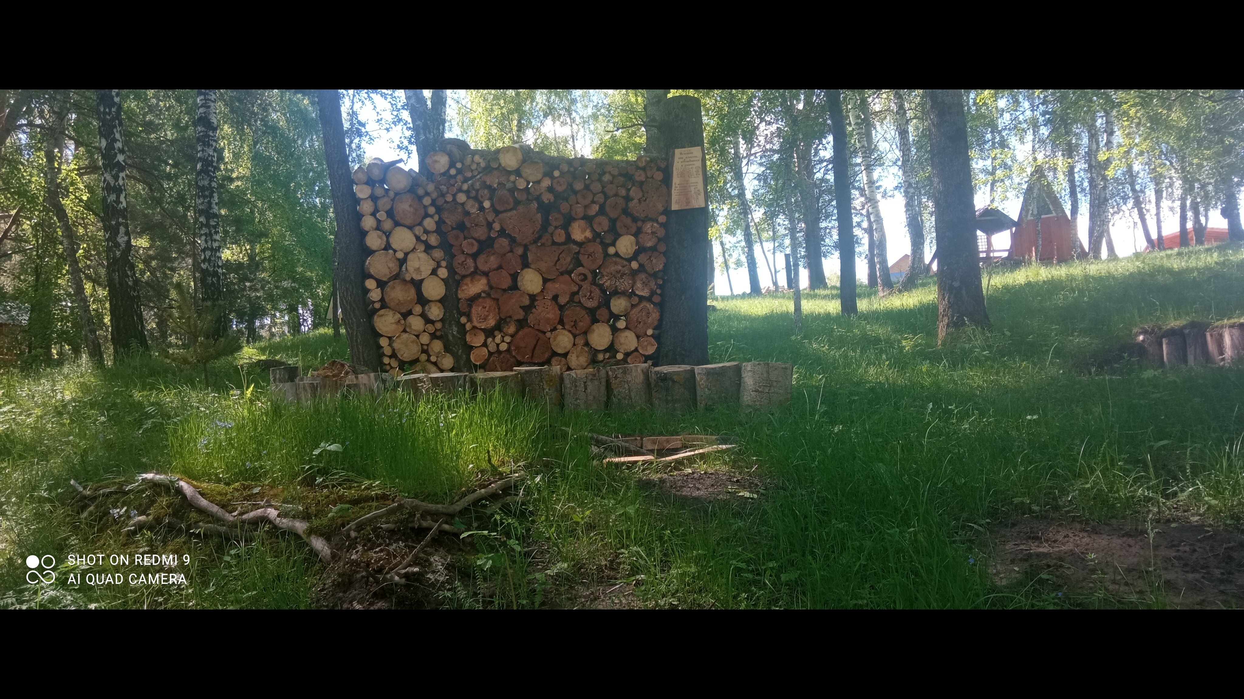 Фото Домики Бородино